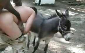 Pornohub novinha da bunda redondinha dando enquanto assiste novela - donkey, videos with beastiality